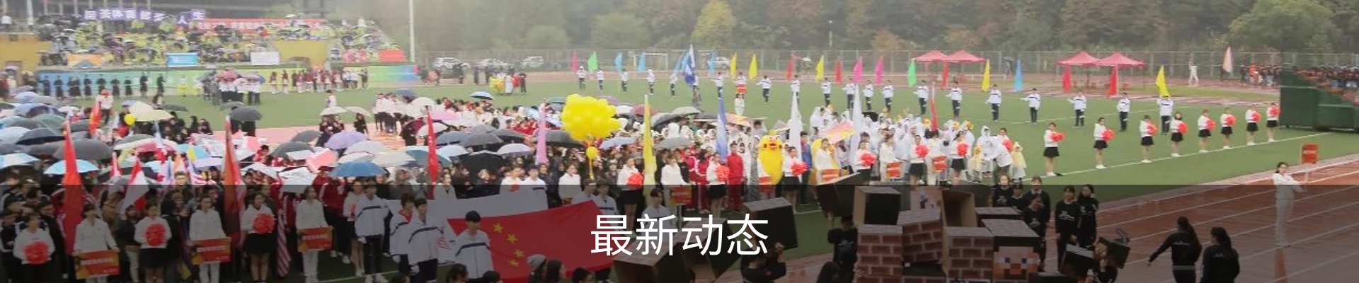 最新动态