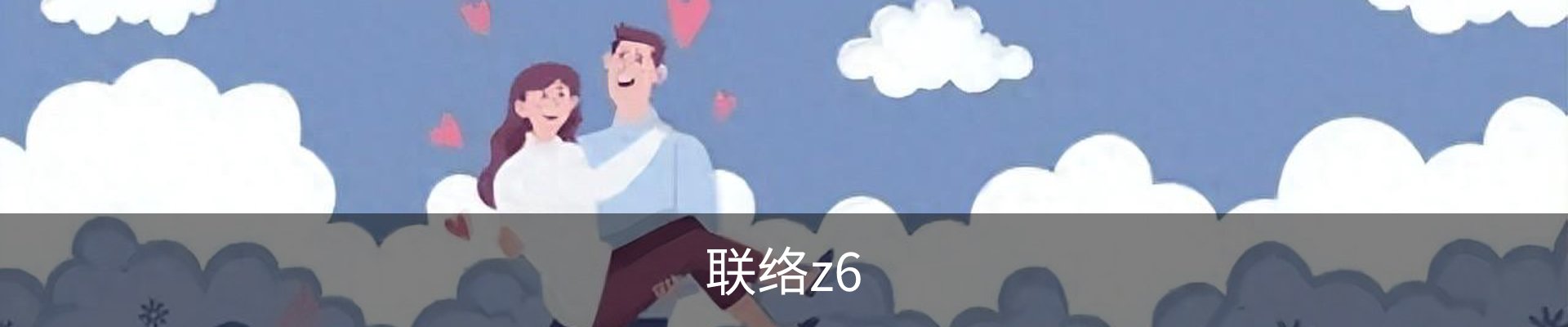 联络z6