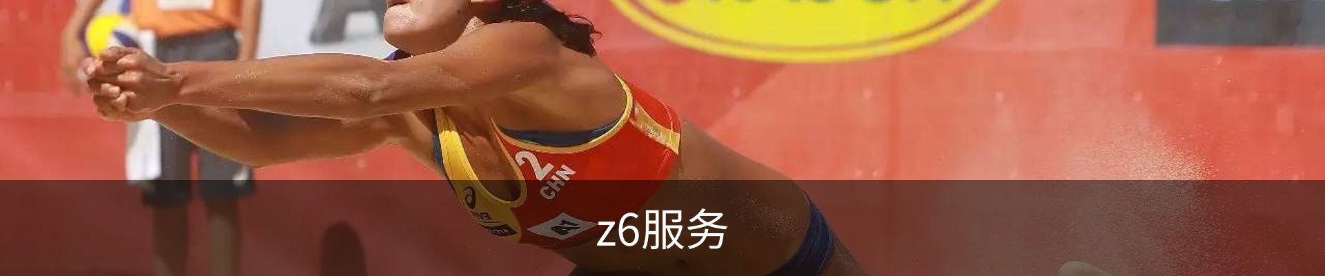 z6服务